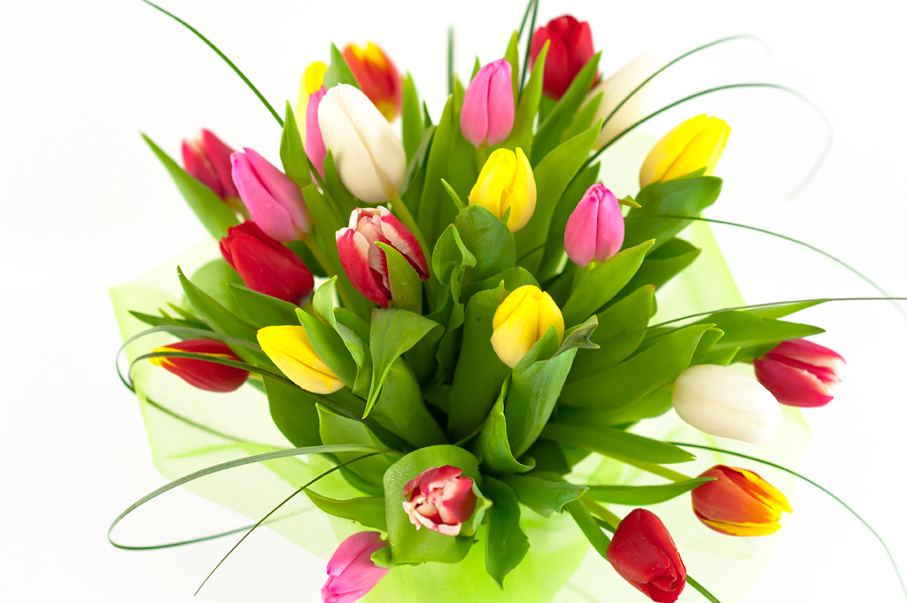 Картинки по запросу весенние цветы на 8 марта