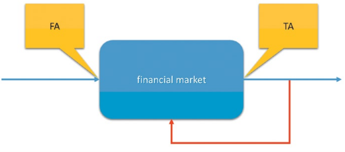представление внешнего взгляда на финансовый рынок