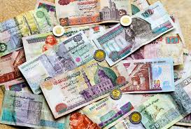 Внешний вид египетского фунта