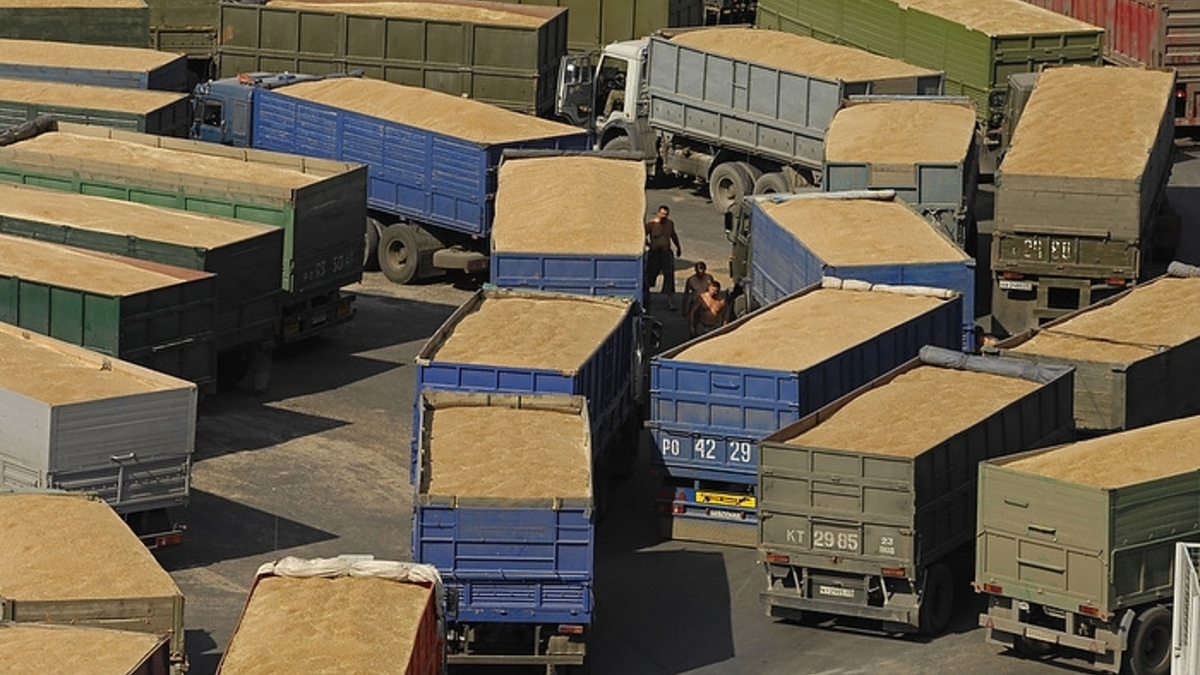 Зерновые - основное направление российского производственного экспорта