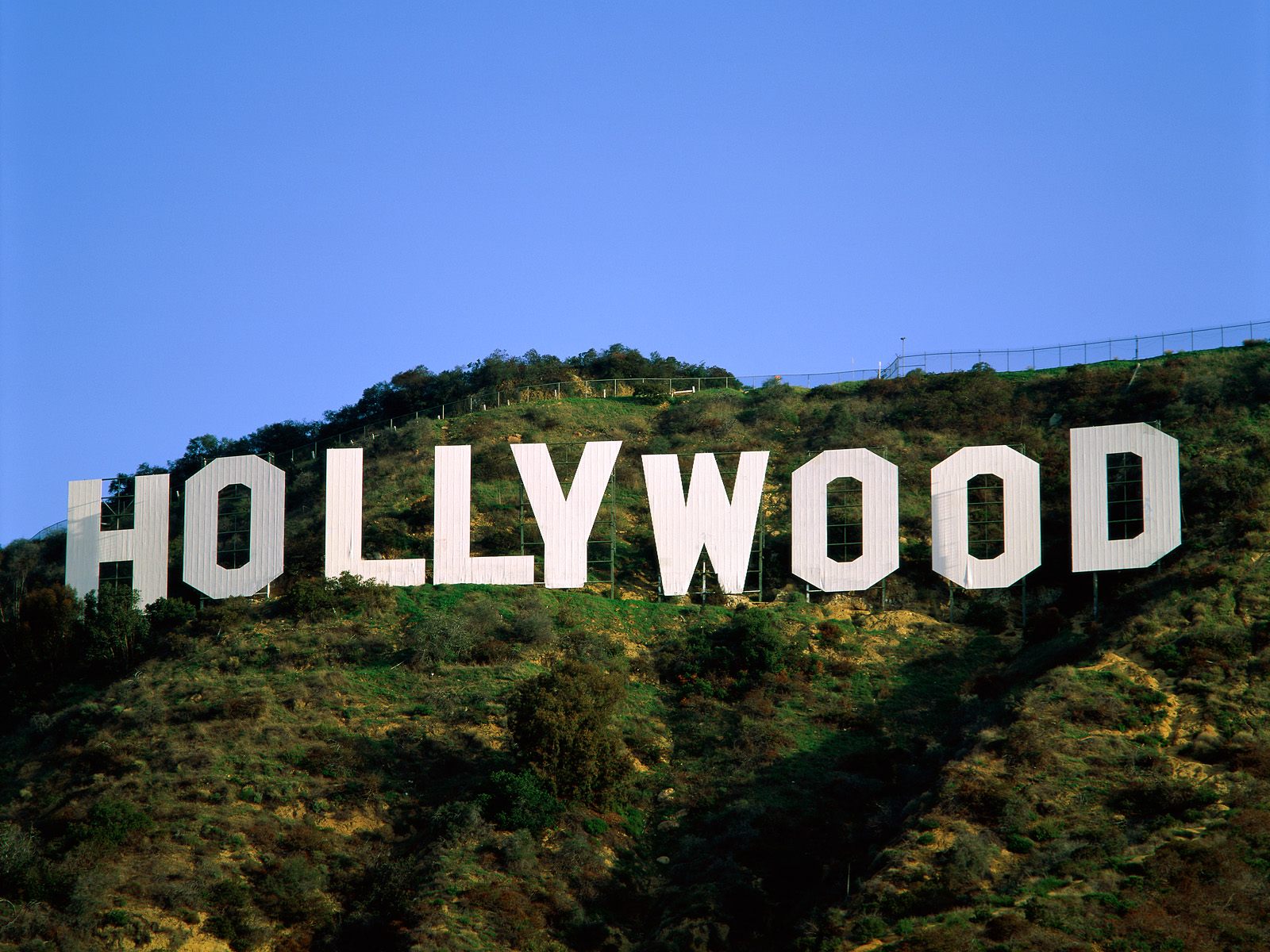 Самые ожидаемые фильмы Голливуда утекли в интернет