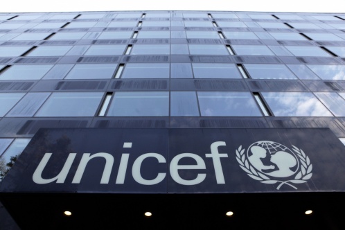 Общая стоимость проэктов  ЮНИСЕФ развернутых на территории России за 2005 год составила 2,5 млн. долларов