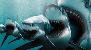 Отпугивание акул - защита от поглощений