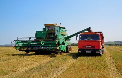 Экономика России, цифры и факты. Часть 2 Сельское хозяйство.