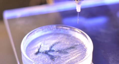 Использование биоматериалов в 3D-печати