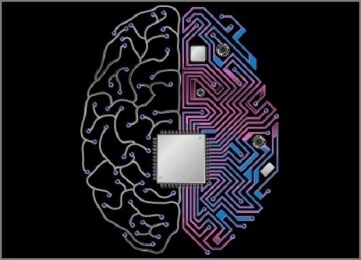 Мозговые имплантаты помогут улучшить память