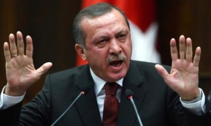 Россия введет санкции против Турции в ответ на критику Эрдогана